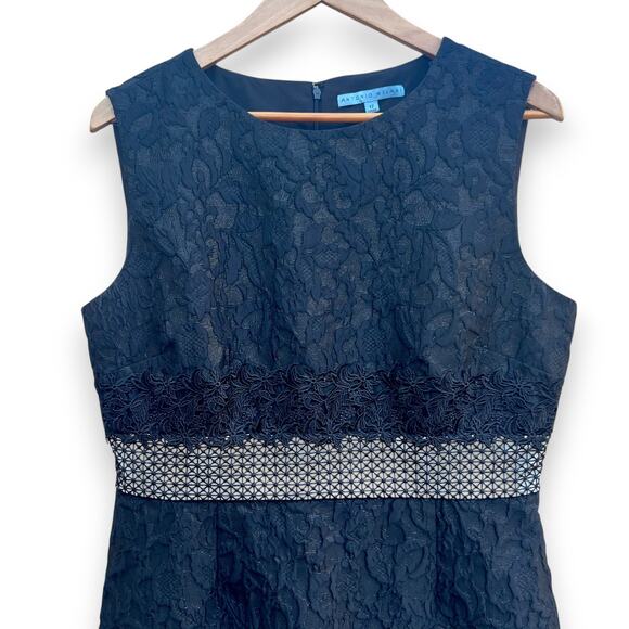 NWT Antonio Melani Size 12 Edna Dress A-Line Sleeveless Metallic Black Lace - Picture 4 of 16